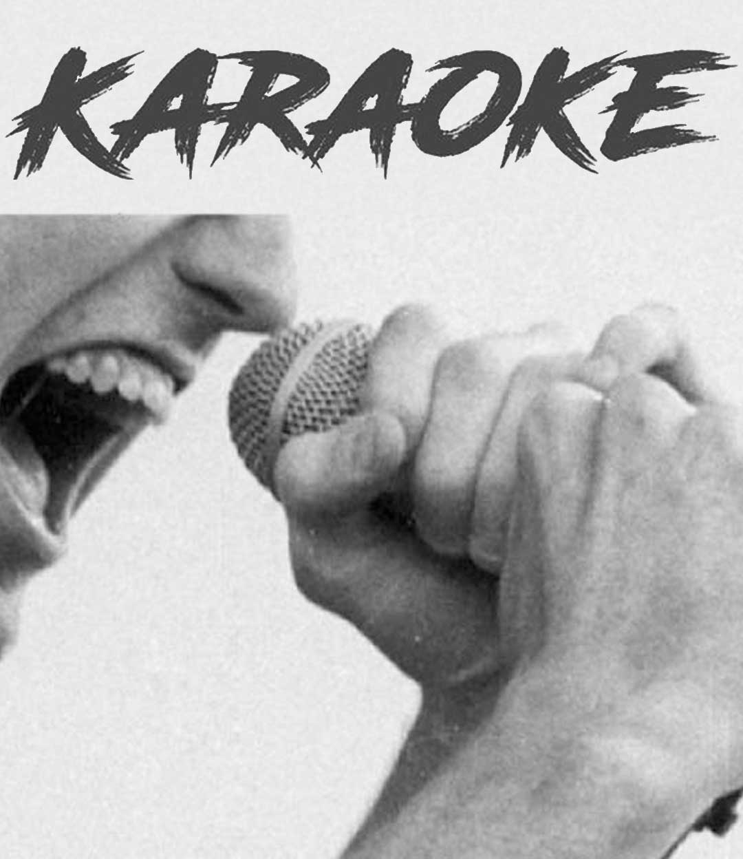 hannebambel_karaoke
